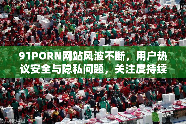 91PORN网站风波不断，用户热议安全与隐私问题，关注度持续上升。