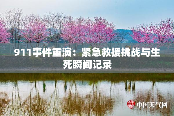 911事件重演：紧急救援挑战与生死瞬间记录