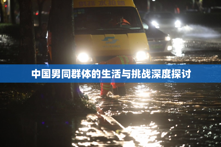 中国男同群体的生活与挑战深度探讨