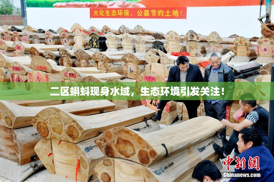 二区蝌蚪现身水域，生态环境引发关注！
