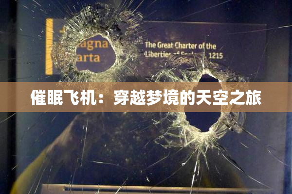 催眠飞机：穿越梦境的天空之旅