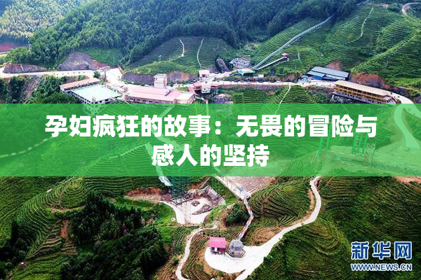 孕妇疯狂的故事：无畏的冒险与感人的坚持