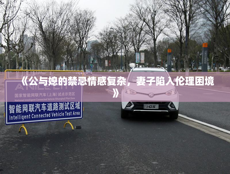 《公与媳的禁忌情感复杂，妻子陷入伦理困境》