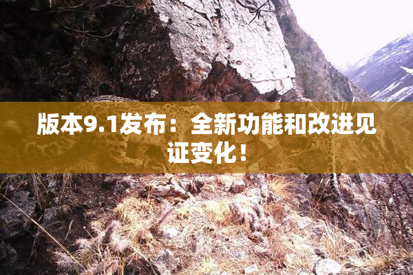 版本9.1发布：全新功能和改进见证变化！