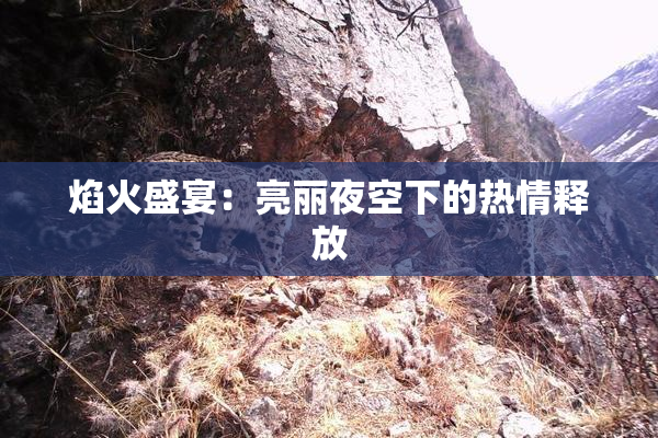 焰火盛宴：亮丽夜空下的热情释放