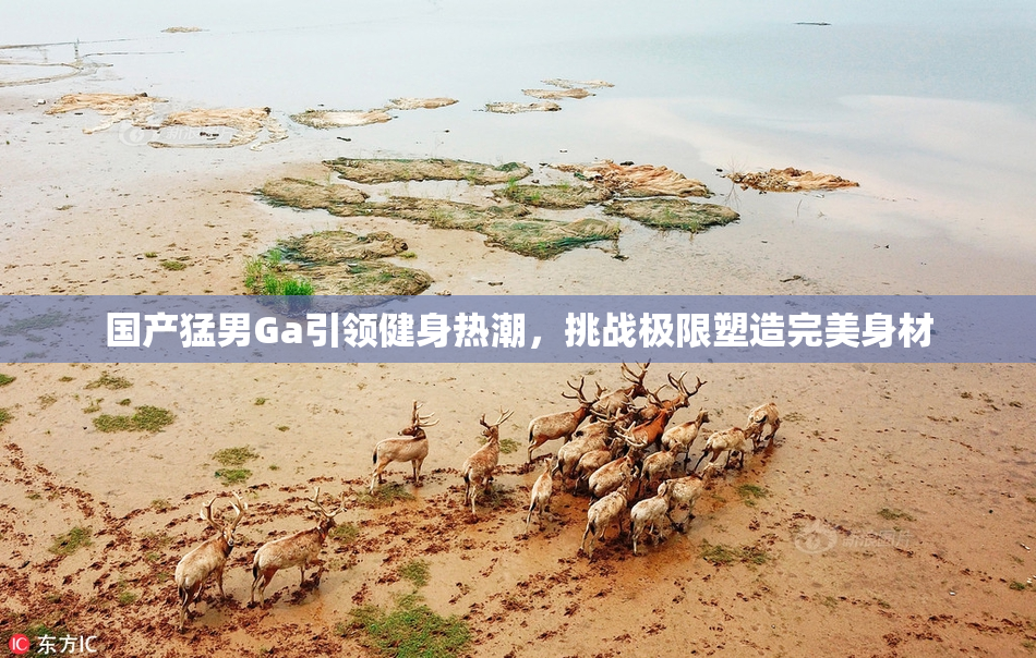 国产猛男Ga引领健身热潮，挑战极限塑造完美身材