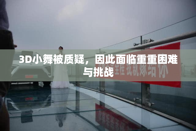 3D小舞被质疑，因此面临重重困难与挑战