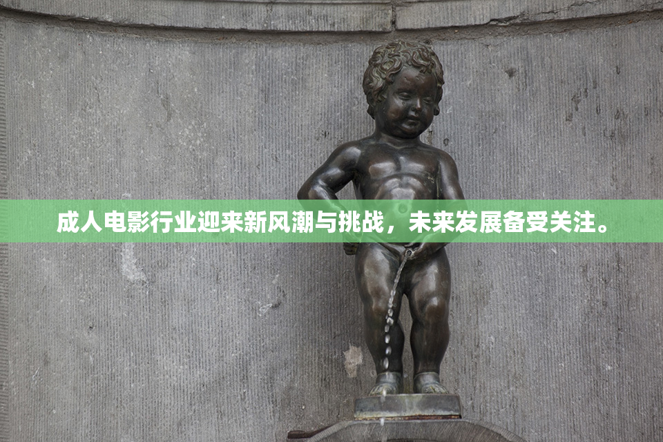 成人电影行业迎来新风潮与挑战，未来发展备受关注。