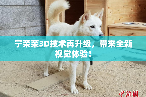 宁荣荣3D技术再升级，带来全新视觉体验！