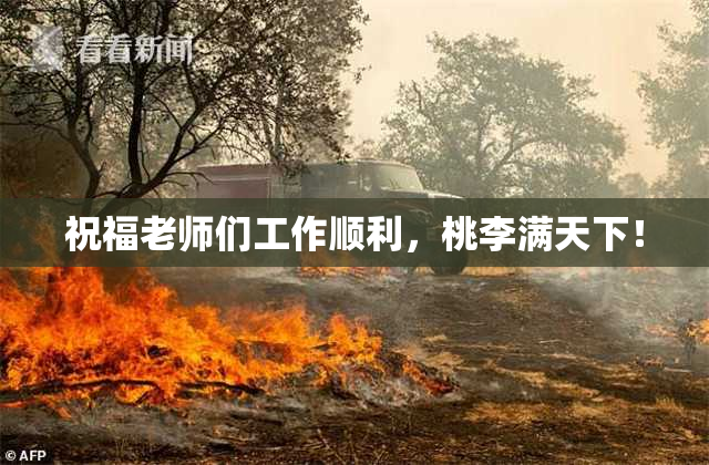 祝福老师们工作顺利，桃李满天下！