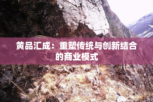 黄品汇成：重塑传统与创新结合的商业模式