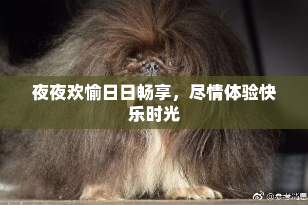 夜夜欢愉日日畅享，尽情体验快乐时光