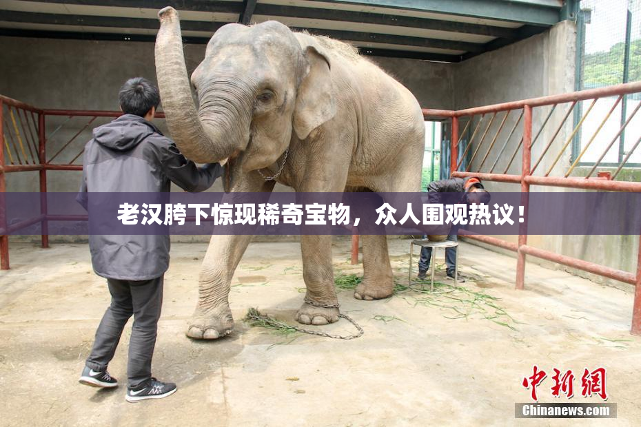 老汉胯下惊现稀奇宝物，众人围观热议！