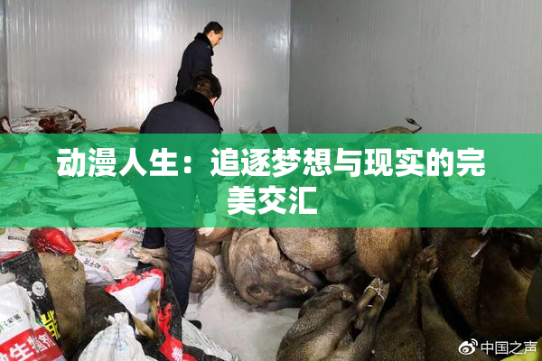 动漫人生：追逐梦想与现实的完美交汇