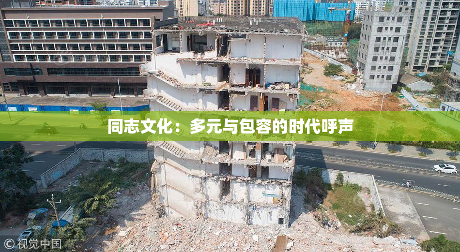 同志文化：多元与包容的时代呼声