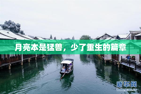 月亮本是猛兽，少了重生的篇章