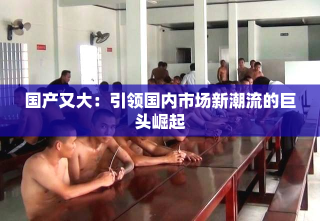 国产又大：引领国内市场新潮流的巨头崛起