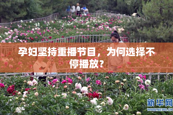 孕妇坚持重播节目，为何选择不停播放？