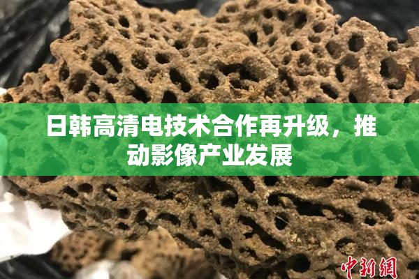 日韩高清电技术合作再升级，推动影像产业发展