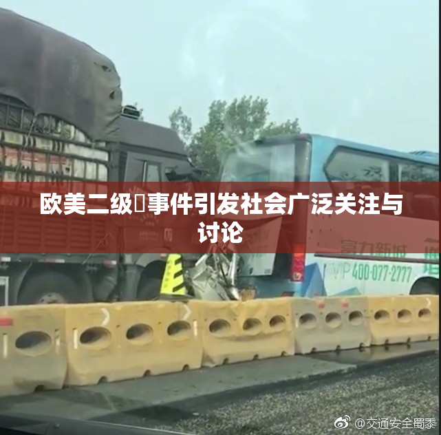 欧美二级婬事件引发社会广泛关注与讨论