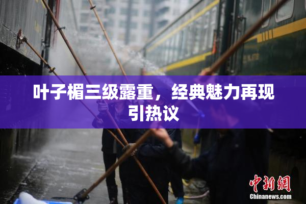 叶子楣三级露重，经典魅力再现引热议