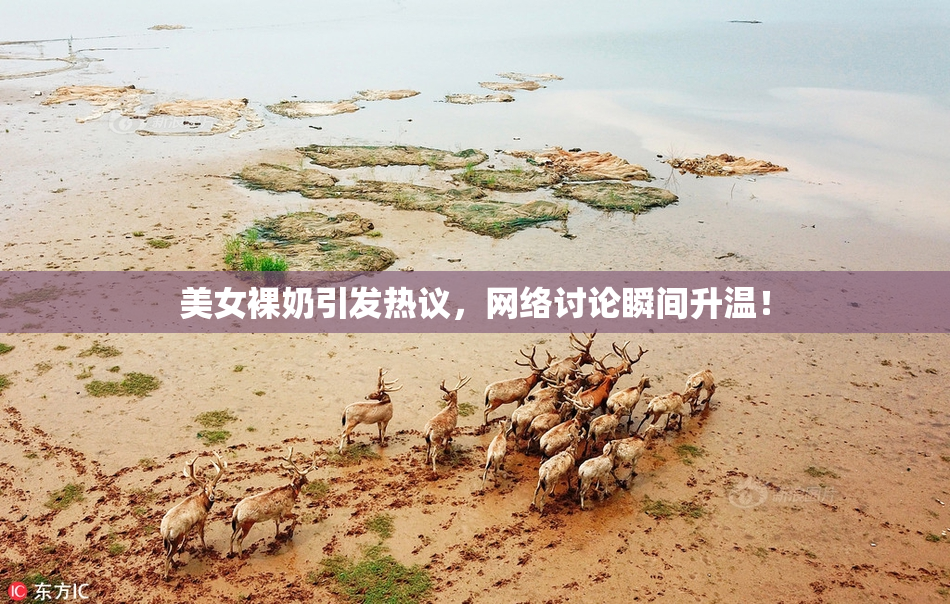 美女裸奶引发热议，网络讨论瞬间升温！