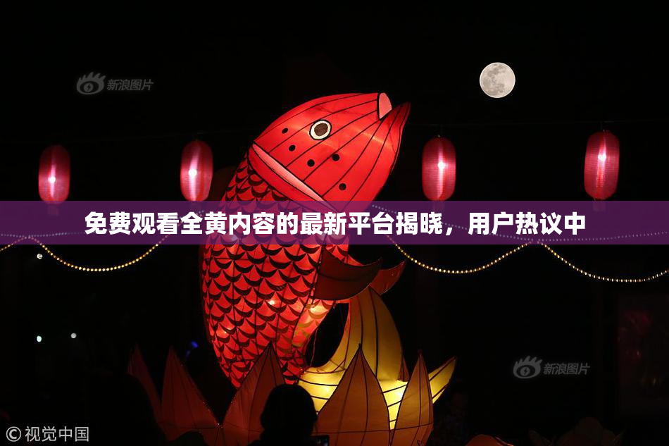 免费观看全黄内容的最新平台揭晓，用户热议中