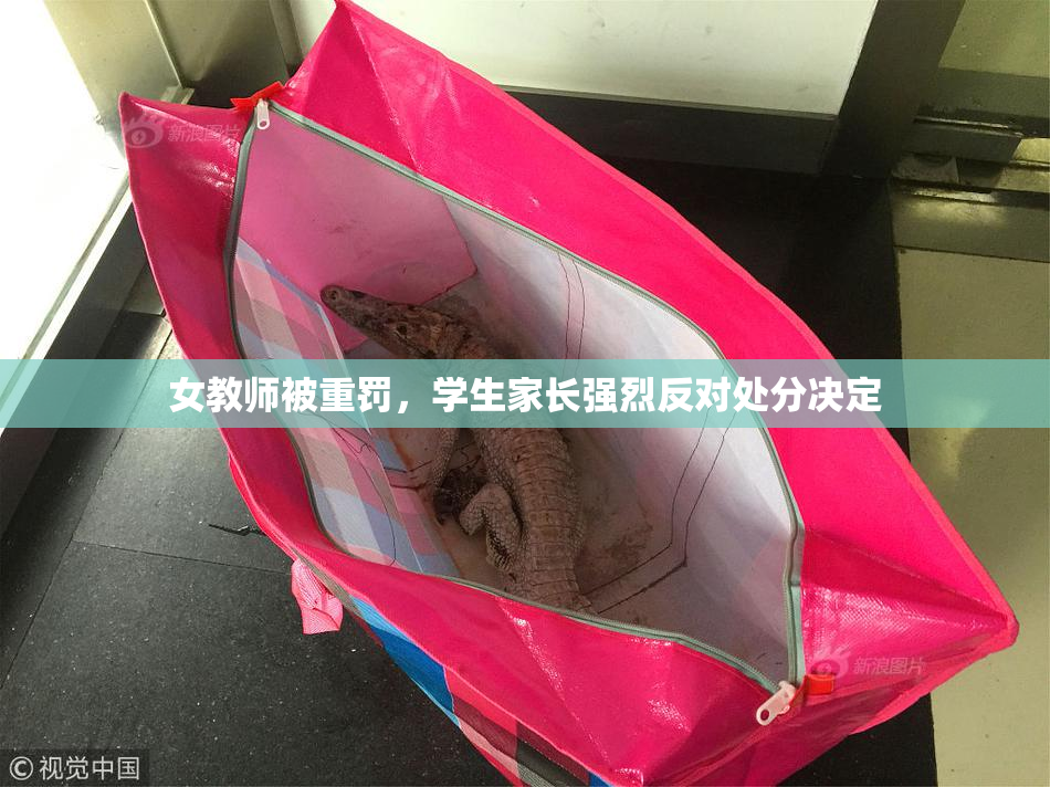 女教师被重罚，学生家长强烈反对处分决定