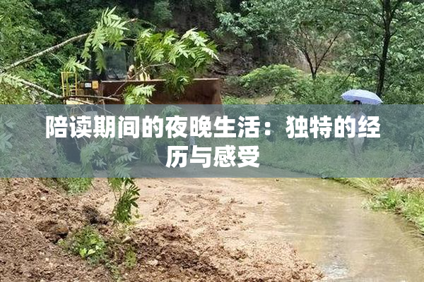 陪读期间的夜晚生活：独特的经历与感受