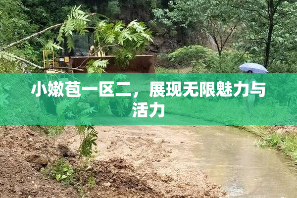 小嫩苞一区二，展现无限魅力与活力