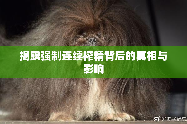 揭露强制连续榨精背后的真相与影响