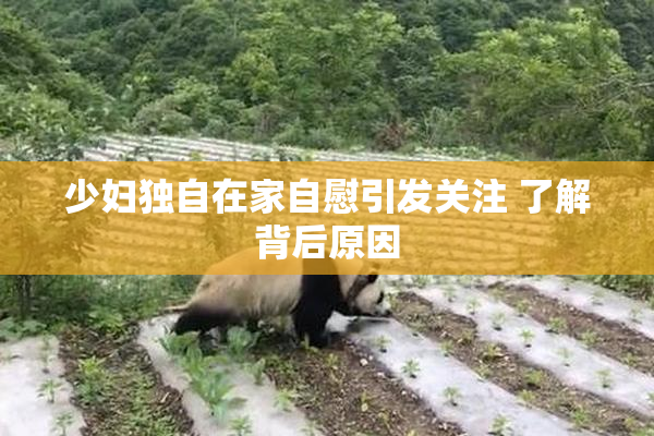 少妇独自在家自慰引发关注 了解背后原因