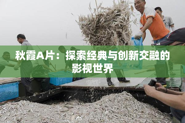 秋霞A片：探索经典与创新交融的影视世界