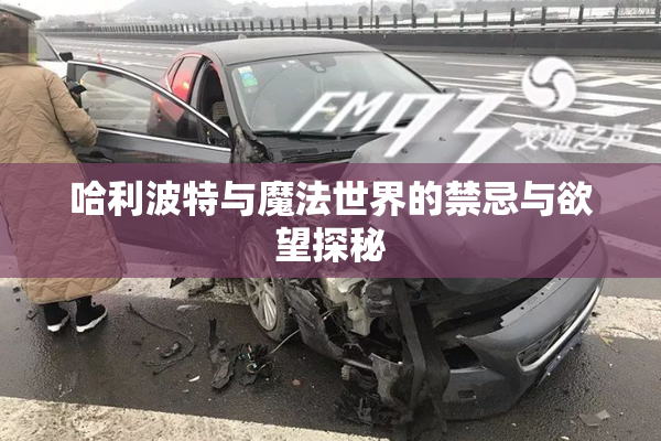 哈利波特与魔法世界的禁忌与欲望探秘