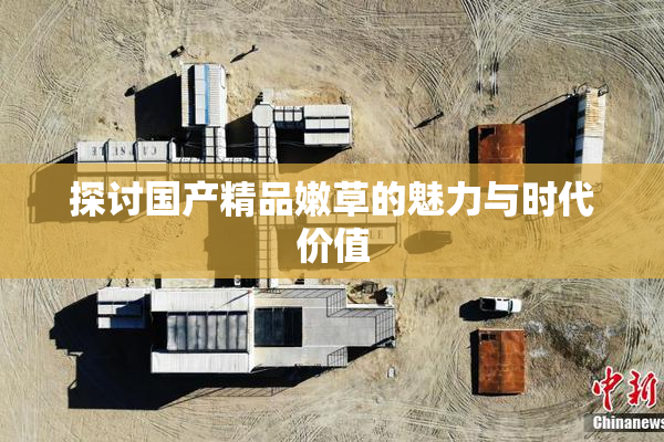 探讨国产精品嫩草的魅力与时代价值