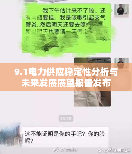9.1电力供应稳定性分析与未来发展展望报告发布