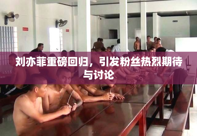 刘亦菲重磅回归，引发粉丝热烈期待与讨论