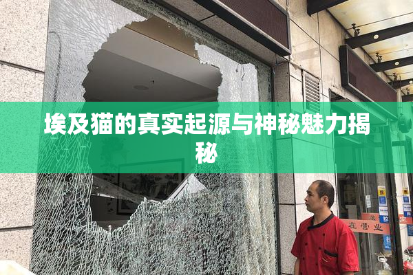 埃及猫的真实起源与神秘魅力揭秘