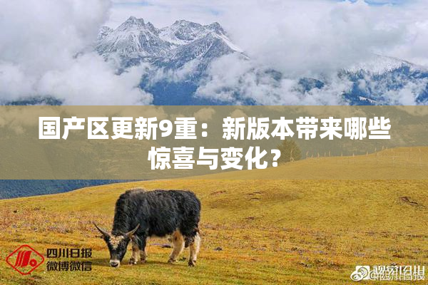 国产区更新9重：新版本带来哪些惊喜与变化？