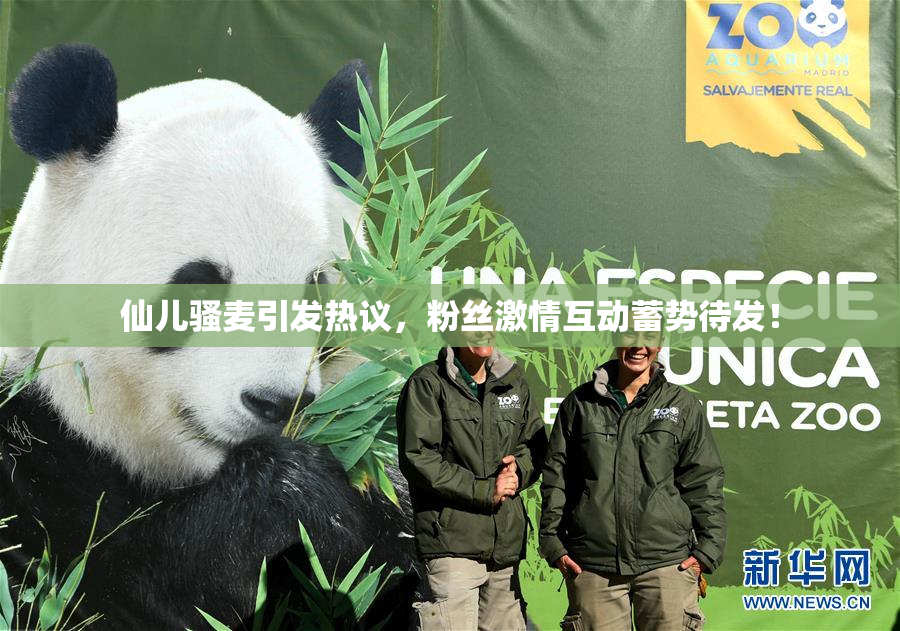 仙儿骚麦引发热议，粉丝激情互动蓄势待发！