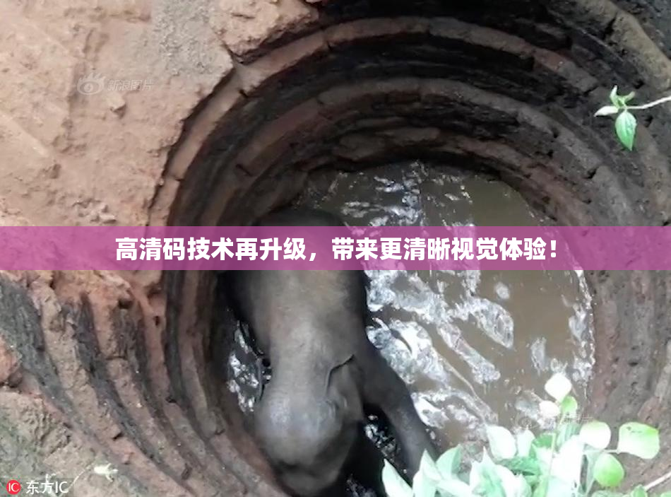 高清码技术再升级，带来更清晰视觉体验！