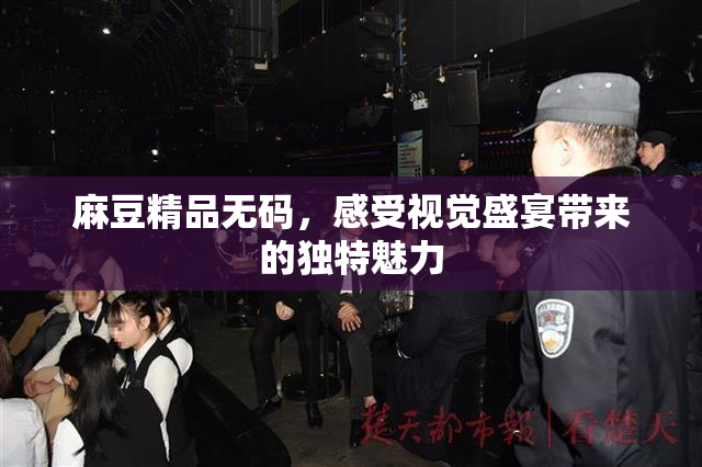麻豆精品无码，感受视觉盛宴带来的独特魅力