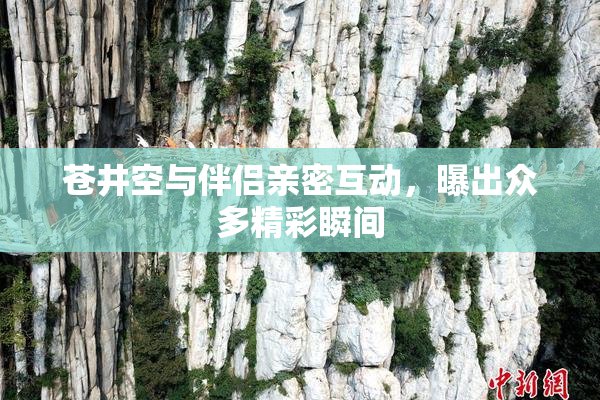 苍井空与伴侣亲密互动，曝出众多精彩瞬间