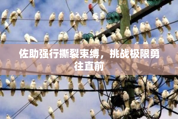 佐助强行撕裂束缚，挑战极限勇往直前