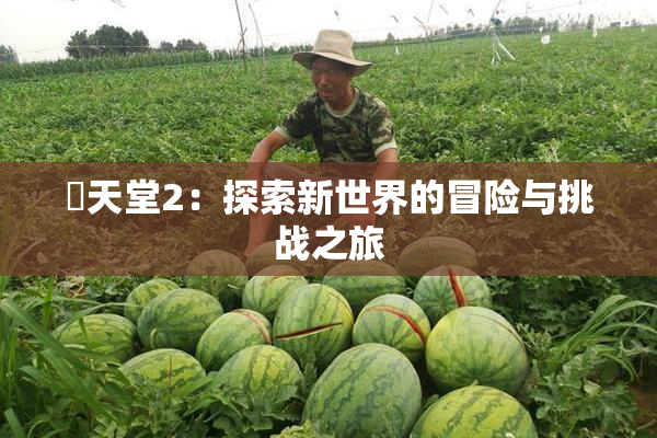 妺天堂2：探索新世界的冒险与挑战之旅