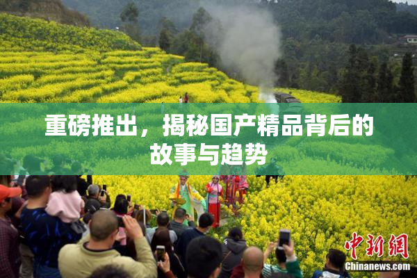 重磅推出，揭秘国产精品背后的故事与趋势