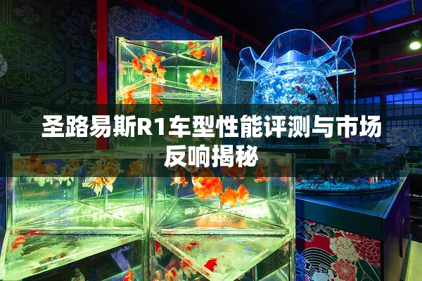 圣路易斯R1车型性能评测与市场反响揭秘
