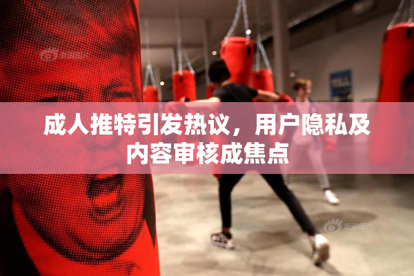 成人推特引发热议，用户隐私及内容审核成焦点