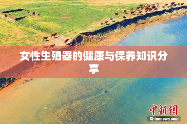 女性生殖器的健康与保养知识分享