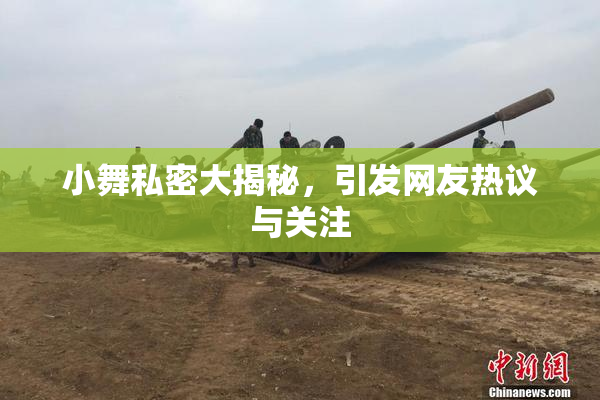 小舞私密大揭秘，引发网友热议与关注